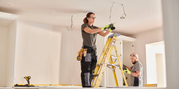Best Electric Panel Repair  in Princeton Junction, NJ